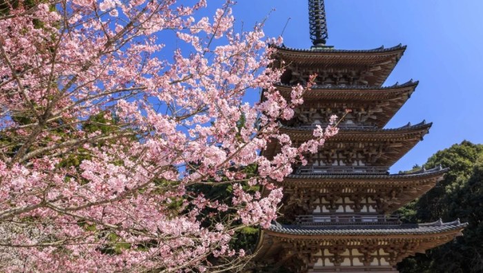 京都自由行攻略