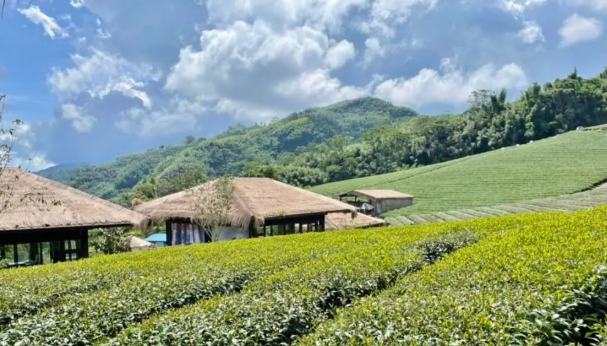 阿裡山旅遊攻略 阿裡山旅遊攻略