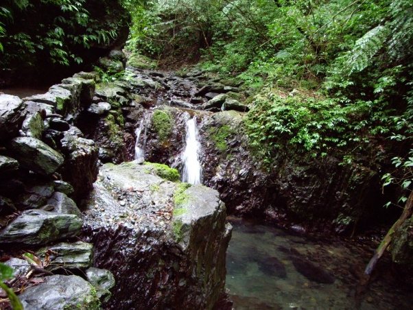 林美石磐步道 開放 林美石磐步道 開放