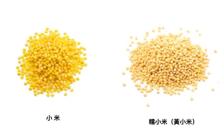 小米粥 膽固醇