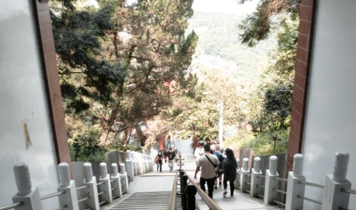烘爐地登山步道 烘爐地登山步道