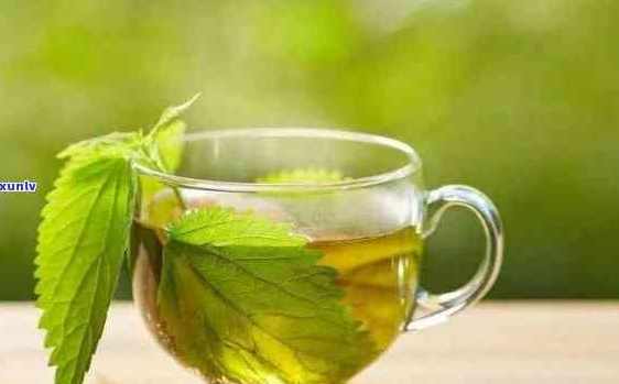 苦茶功效 苦茶功效