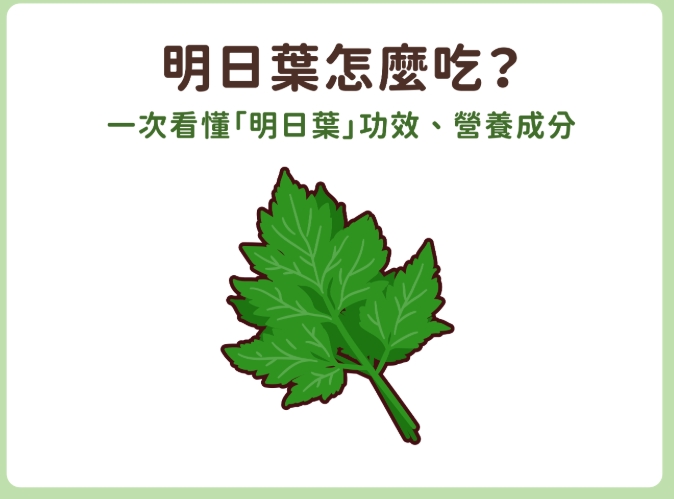 明日葉安全使用 明日葉安全使用