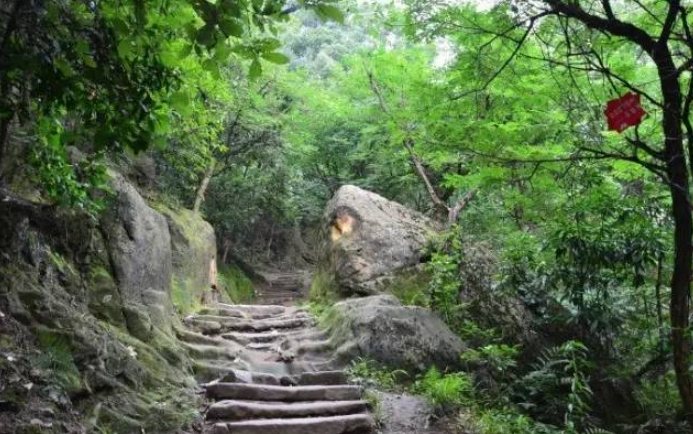 伯公步道健行 伯公步道健行