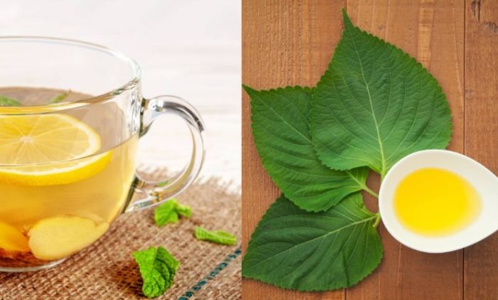 紫蘇葉茶好處 紫蘇葉茶好處