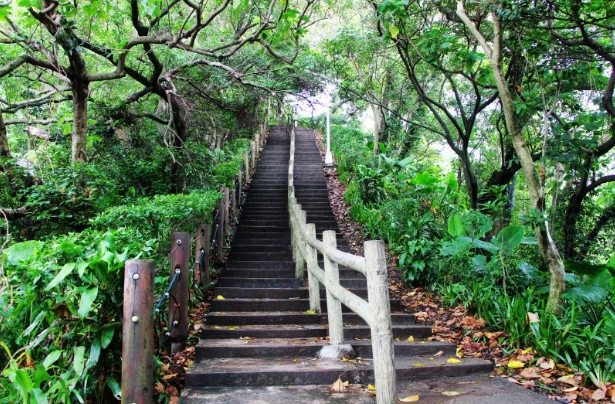 中和圓通禪寺步道 中和圓通禪寺步道