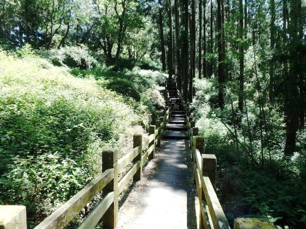 奮起湖登山步道 奮起湖登山步道