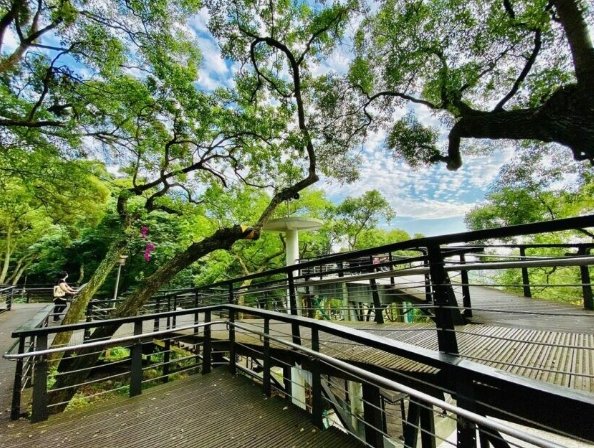 桃園山岳 桃園山岳