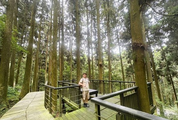 奮起湖登山步道 奮起湖登山步道