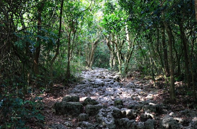 壽山步道路線 壽山步道路線