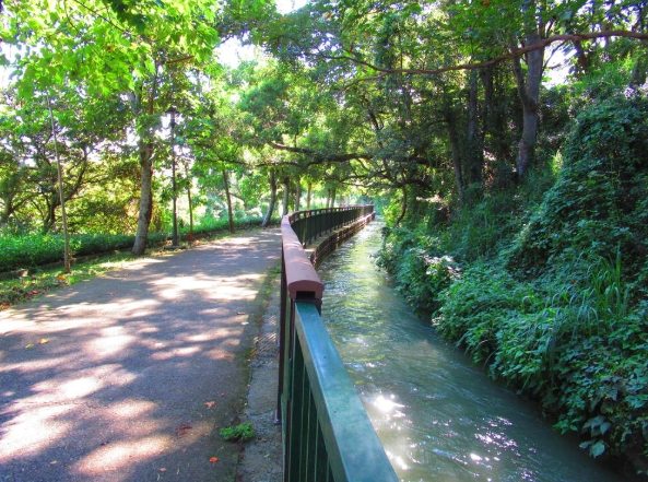 水流東農業旅遊 水流東農業旅遊