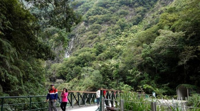 白楊步道旅遊 白楊步道旅遊