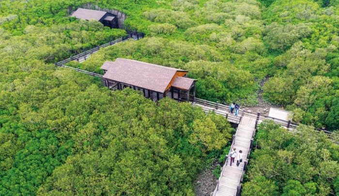 新豐紅樹林開放時間 新豐紅樹林開放時間