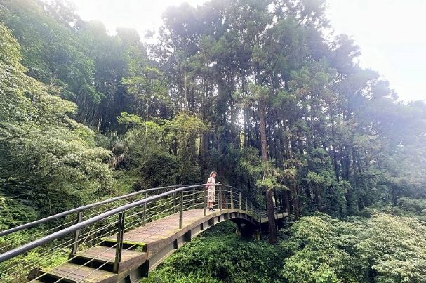 奮起湖步道攻略 奮起湖步道攻略