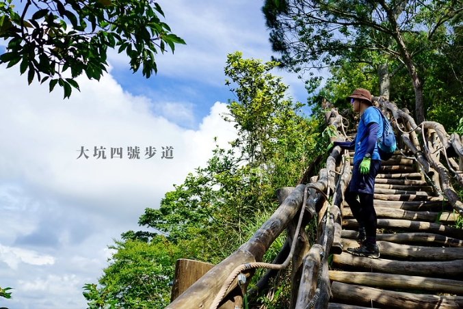 大坑步道交通 大坑步道交通