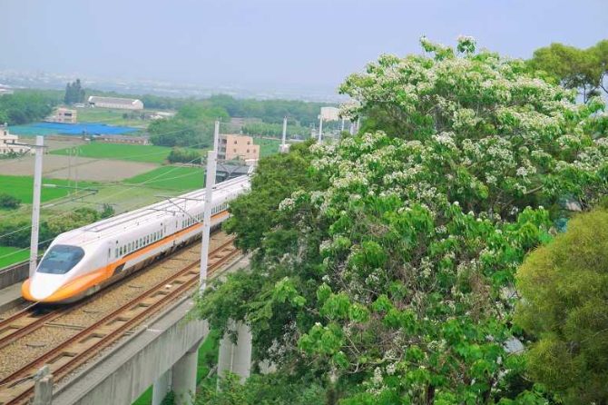 外埔桐花步道 外埔桐花步道