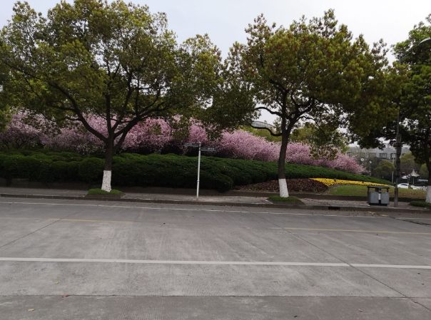 涵碧步道 時間安排 涵碧步道 時間安排