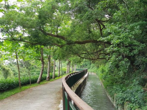 台灣休閒農業區推薦 台灣休閒農業區推薦