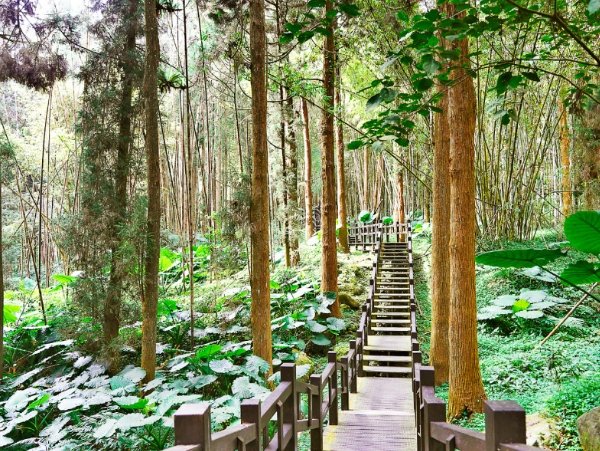 奮起湖步道攻略 奮起湖步道攻略
