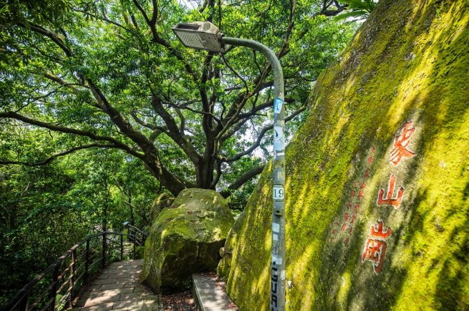 南港山步道攻略 南港山步道攻略