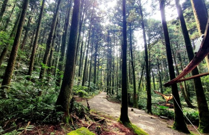 中級山路線