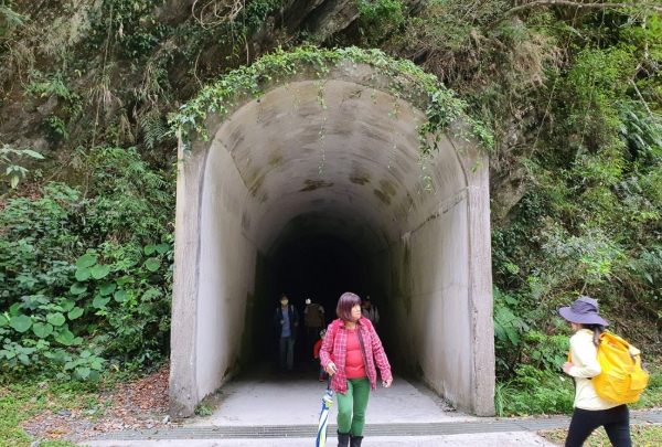白楊步道旅遊資訊 白楊步道旅遊資訊