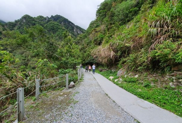 白楊步道旅遊 白楊步道旅遊