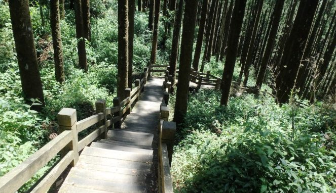 奮起湖登山步道 奮起湖登山步道