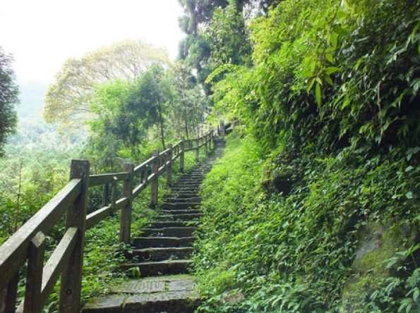 奮起湖步道攻略 奮起湖步道攻略