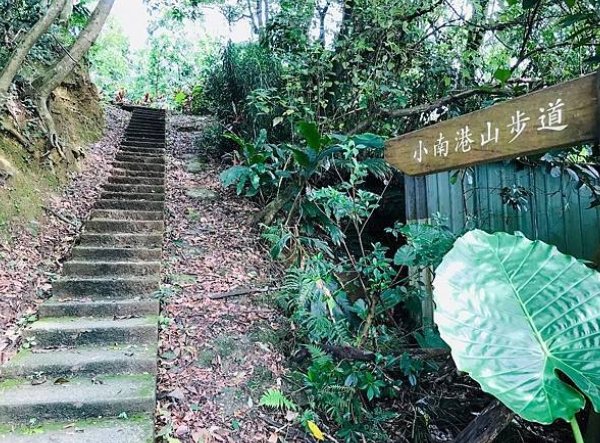 台北親山步道 台北親山步道