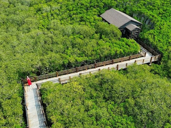 新豐紅樹林怎麼去 新豐紅樹林怎麼去