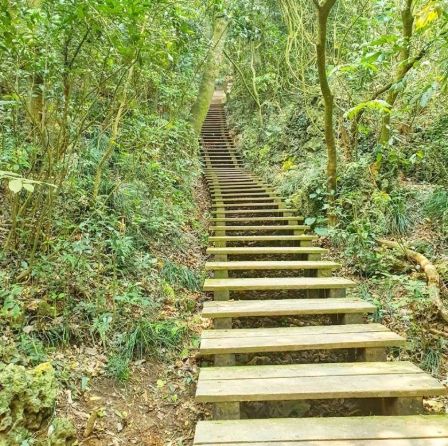 柴山公車路線 柴山公車路線