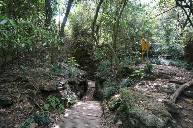 柴山步道停車 柴山步道停車