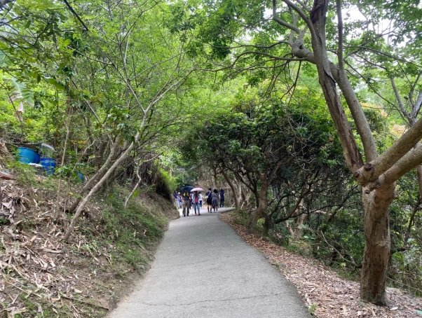大坑步道攻略 大坑步道攻略