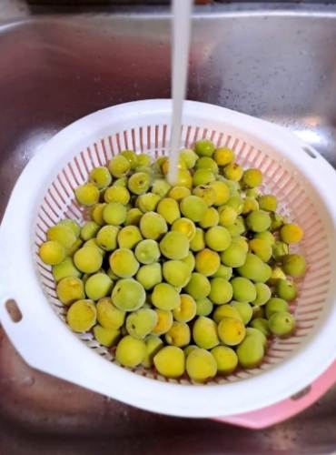 梅子醋梅子處理 梅子醋梅子處理