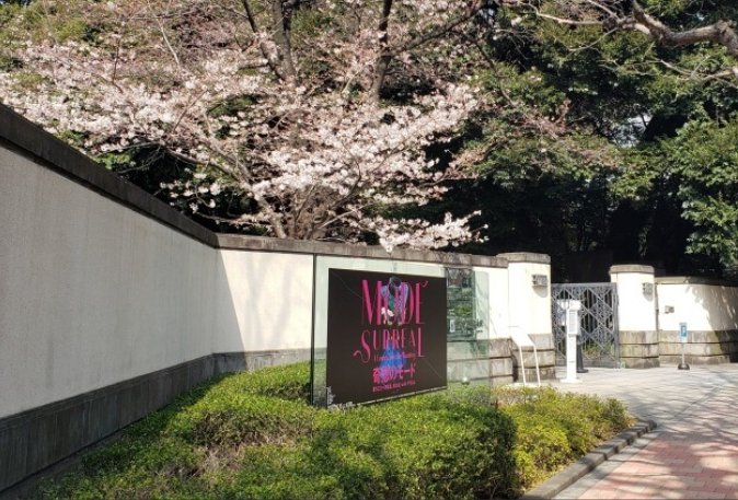 庭園美術館賞櫻指南 庭園美術館賞櫻指南