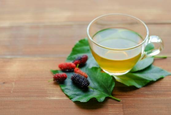 桑葉茶飲用劑量 桑葉茶飲用劑量