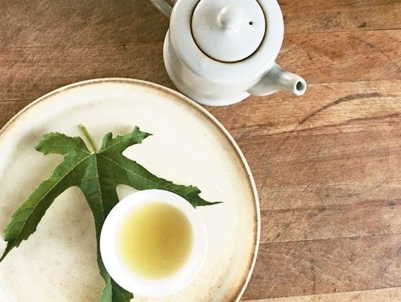 桑葉茶飲用劑量 桑葉茶飲用劑量