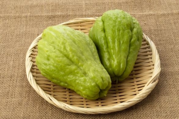 合掌瓜副作用 合掌瓜副作用