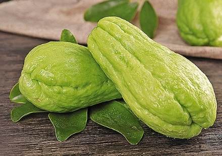 合掌瓜食用注意 合掌瓜食用注意