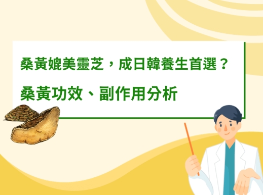 桑黃粉功效 桑黃粉功效