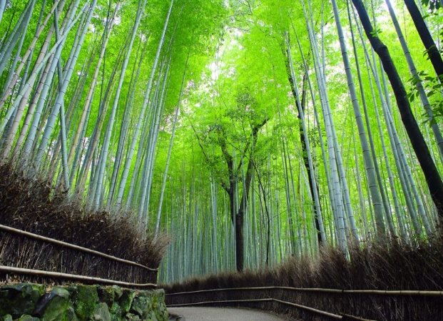 京都旅遊天數 京都旅遊天數