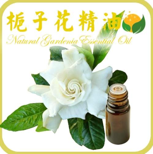 梔子花精油副作用 梔子花精油副作用