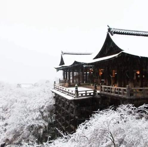 京都2月下雪 京都2月下雪