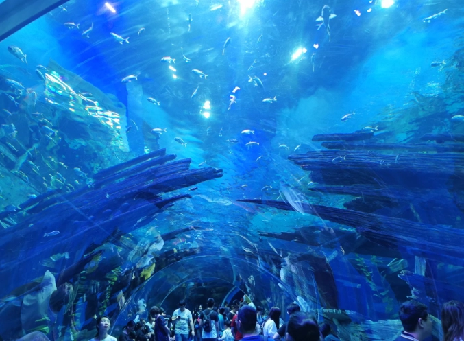 海世界門票優惠 海世界門票優惠