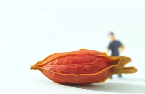 梔子花香薰好處 梔子花香薰好處