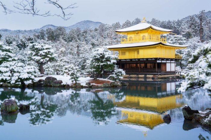 京都交通指南 京都交通指南