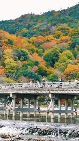 嵐山適合幾月去 嵐山適合幾月去