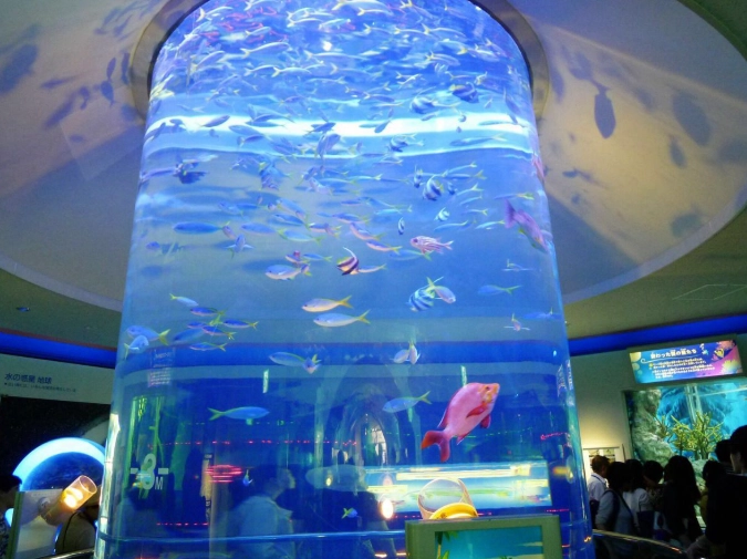 海世界遊玩指南 海世界遊玩指南