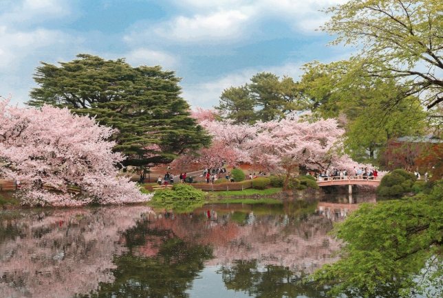 京都四季玩法 京都四季玩法